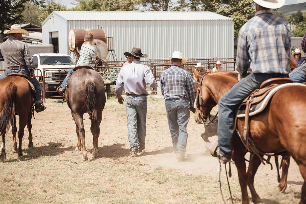 Daily ranch operations